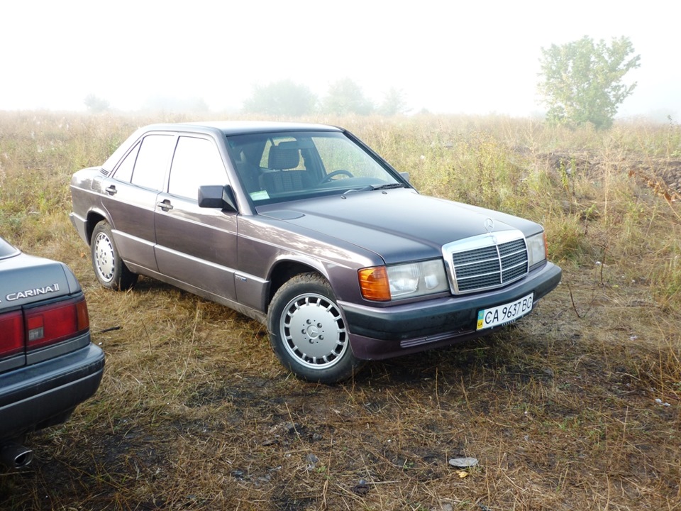 Бузковий туман 4