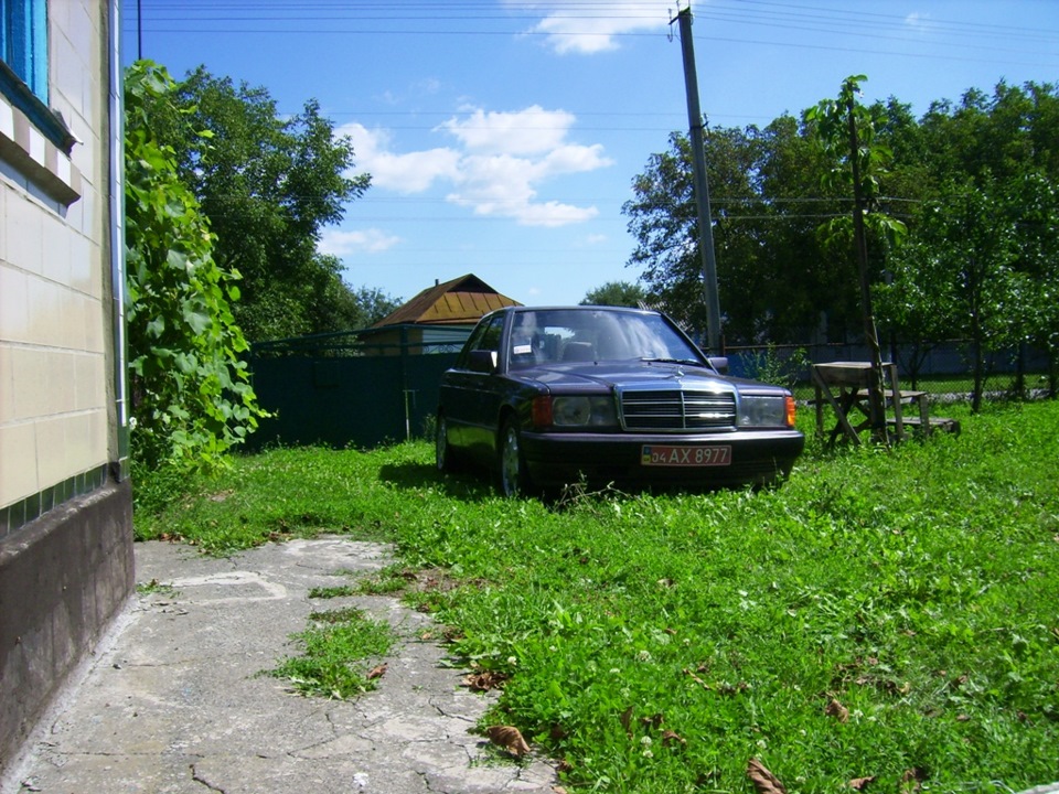 в село на картоплю 1