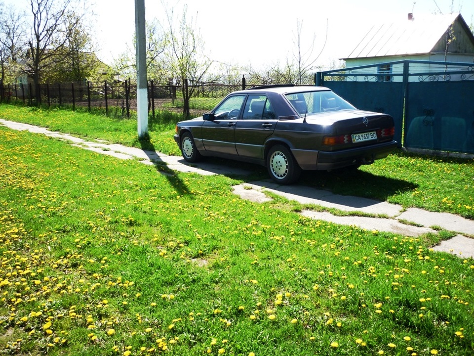 Весна в селі! 2
