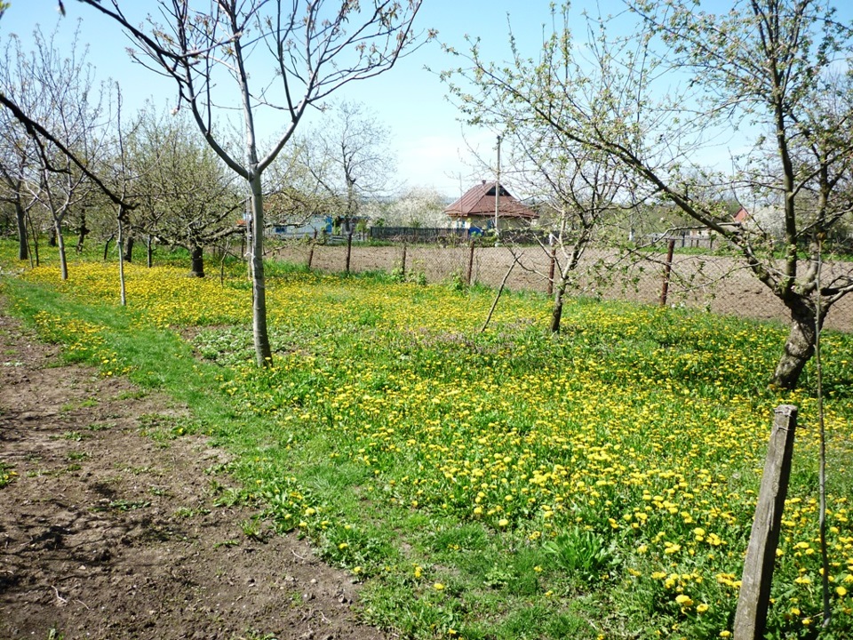 Весна в селі! 4