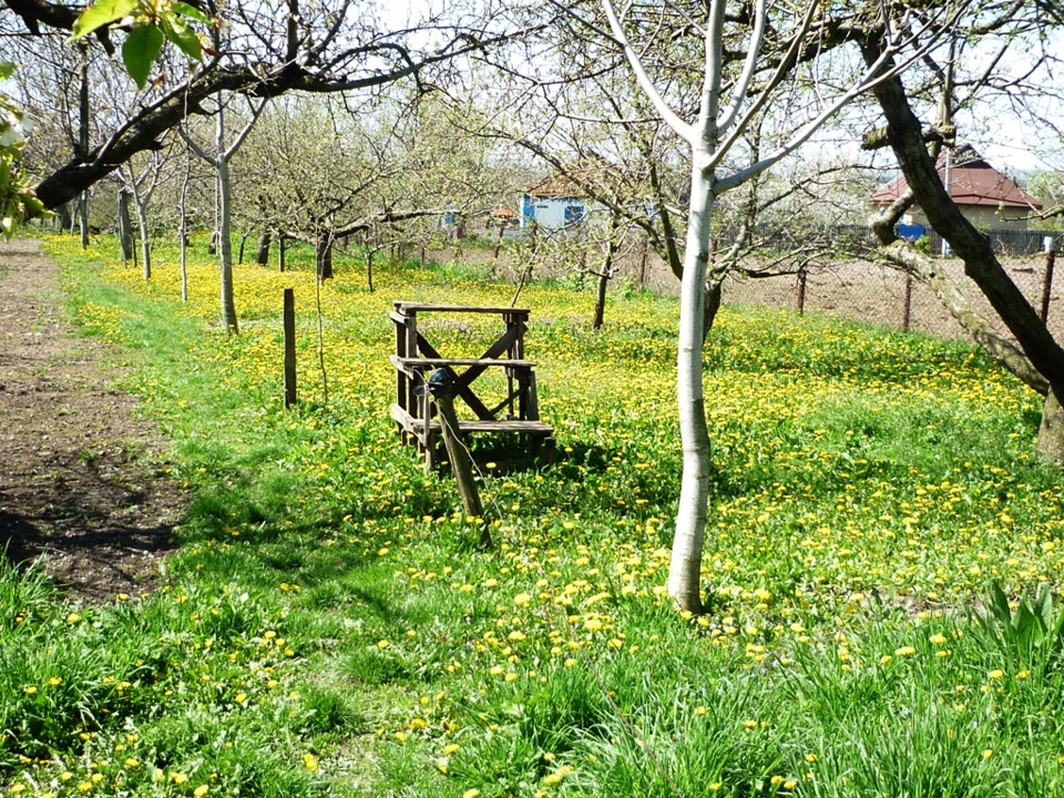 Весна в селі! 3