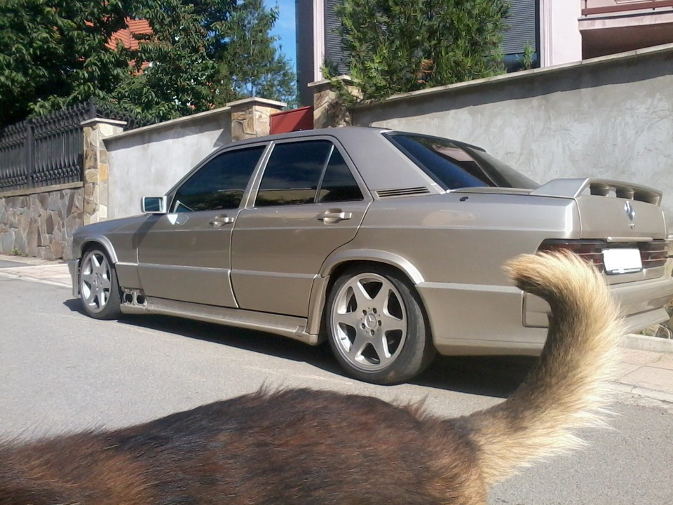 EVO II 5