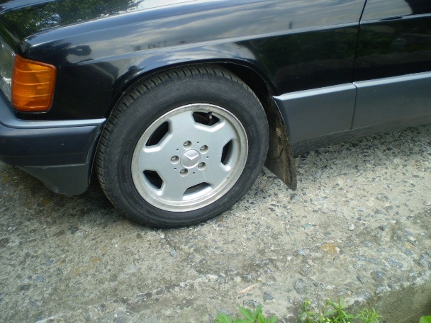 Куля для кабанчика 2