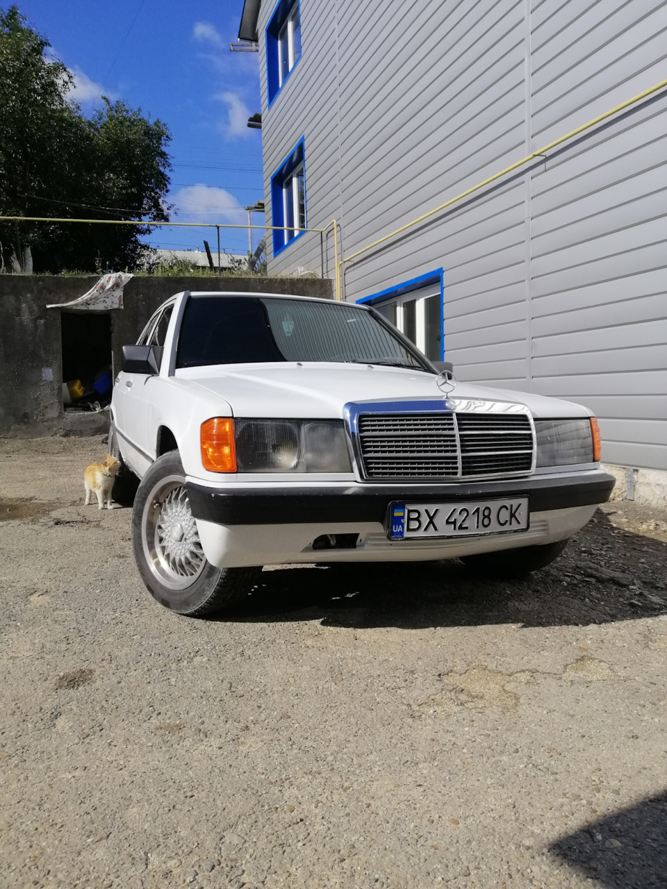 Прапори бампера 1