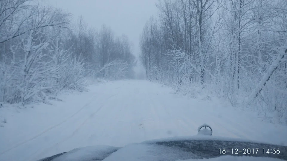 Не багато зимових і не лише фото.