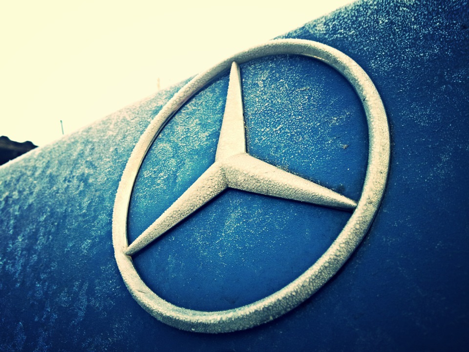 Нові фото 1