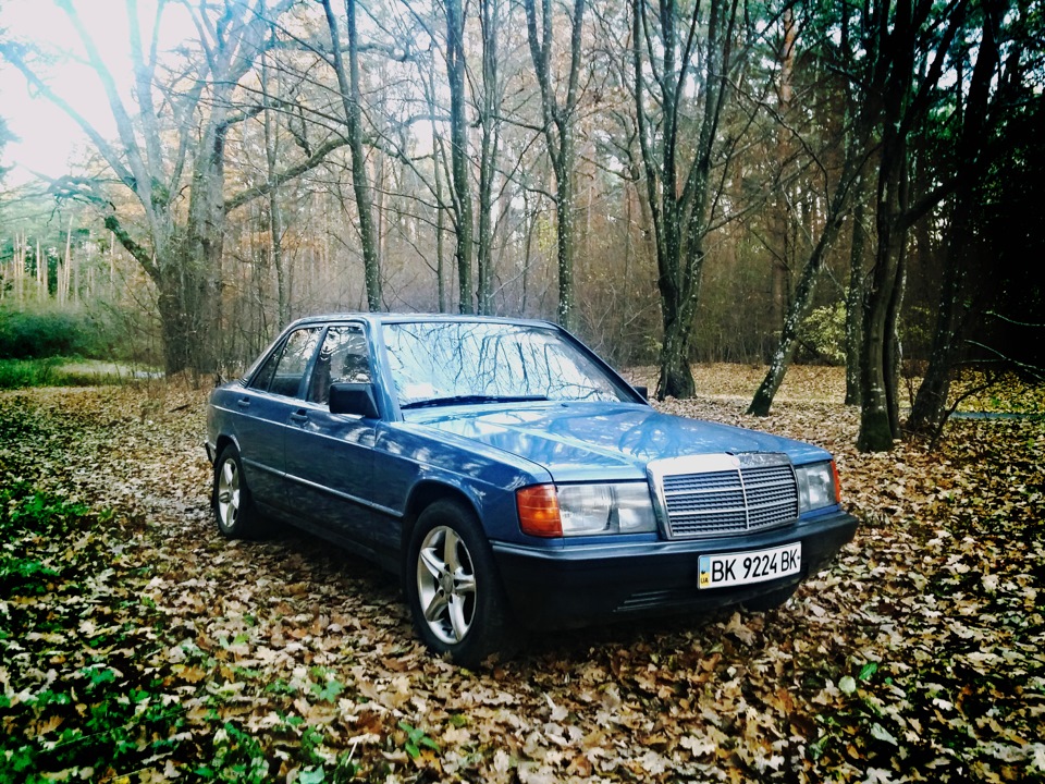 Парочка осінніх фотографій;-) 5