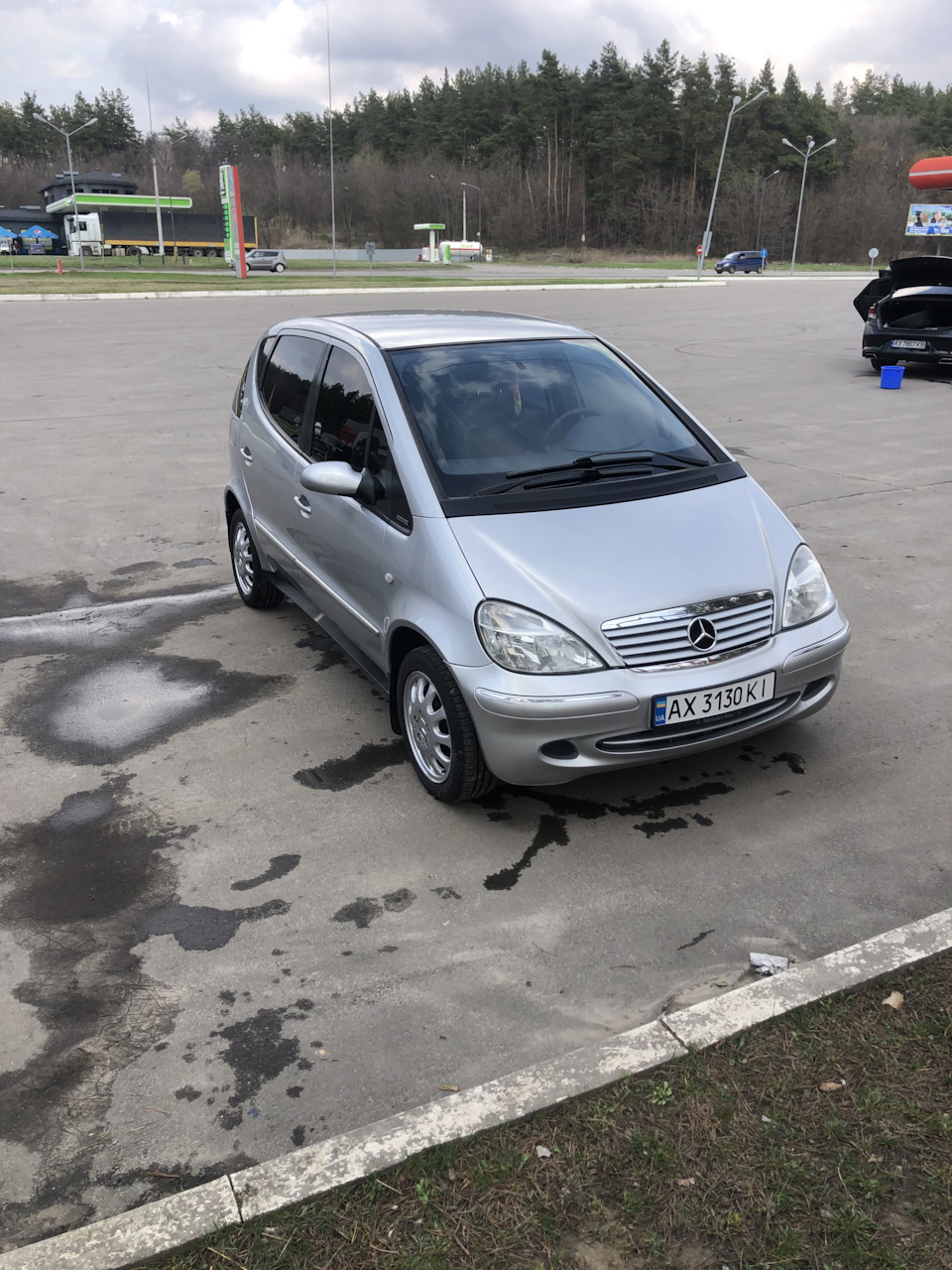 Просто фото після миття))) 1
