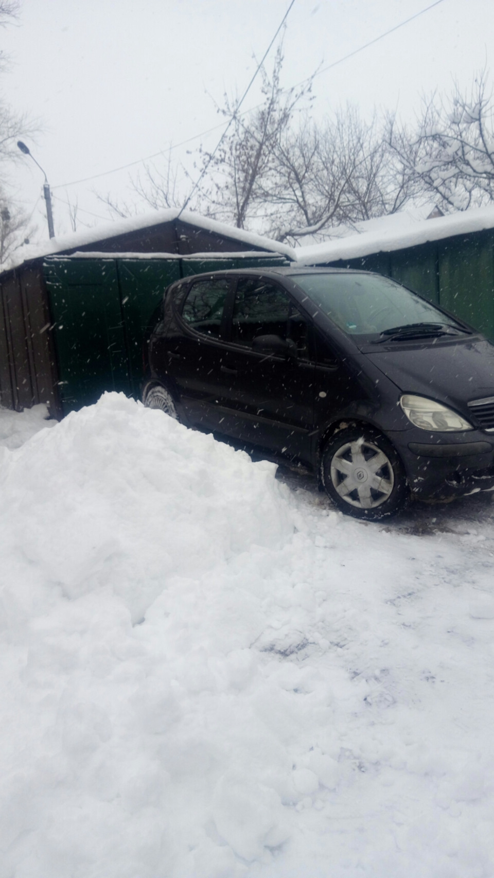 Завив Мурчик 1