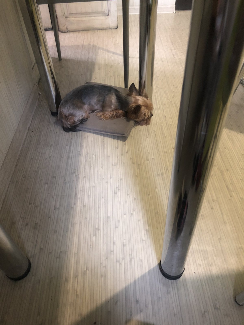 Кузман. 2
