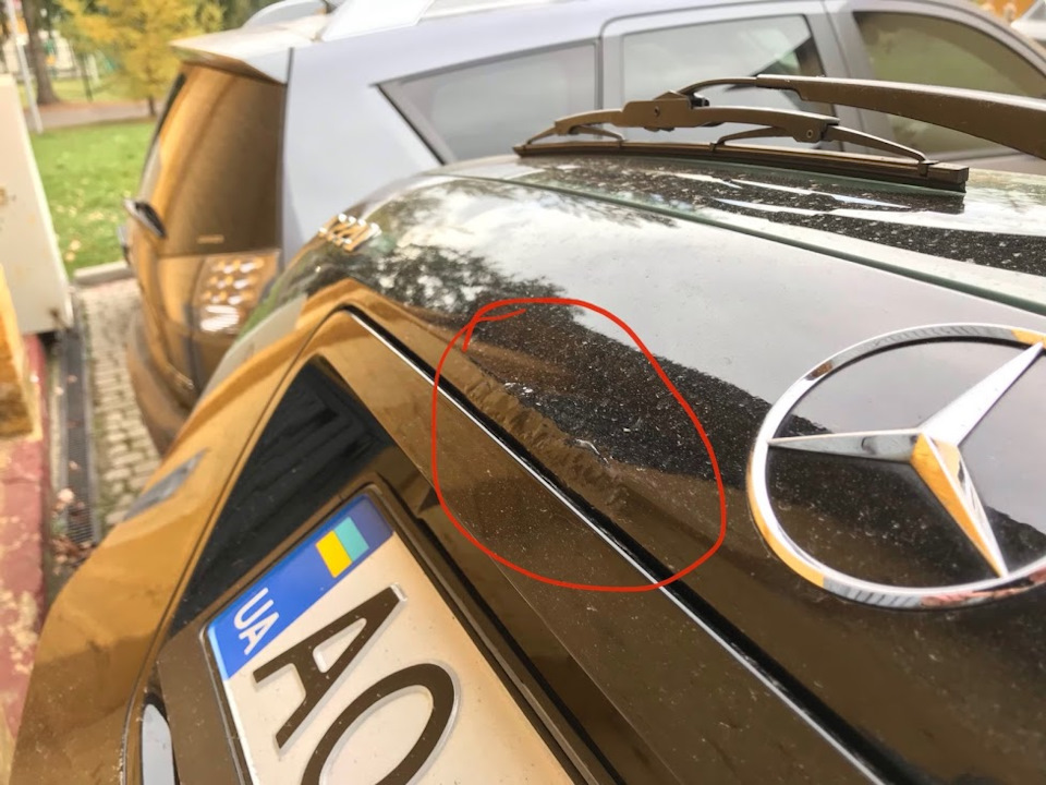 Корозія дверей багажника S203 1