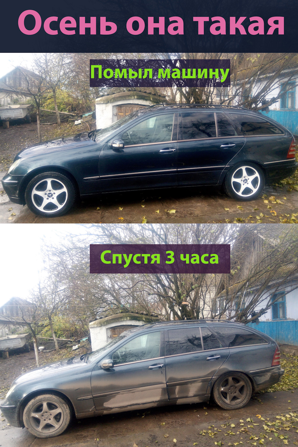 Проданий мурзик 2