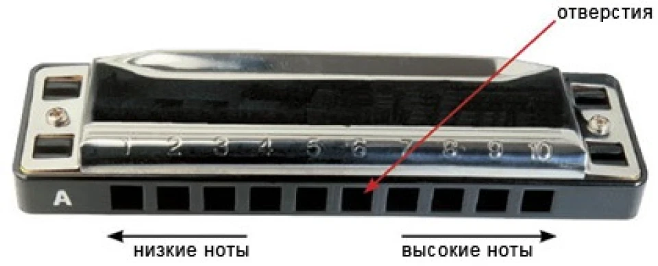 Звук, як від губної гармошки…