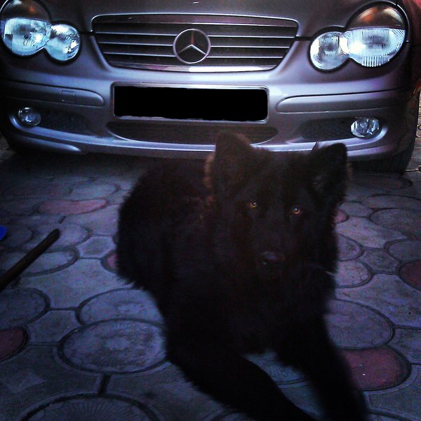 MB & Boss 1