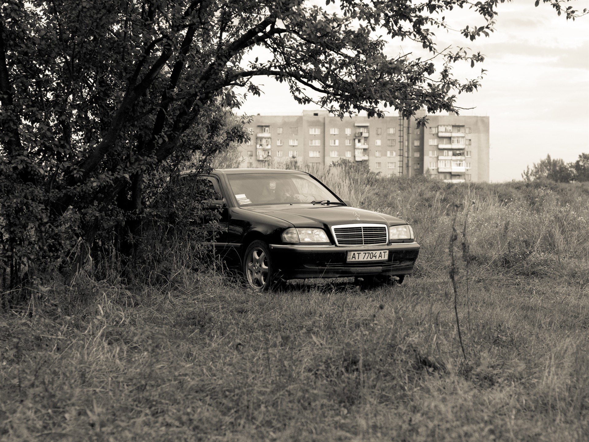 Нові авторські фотки 1