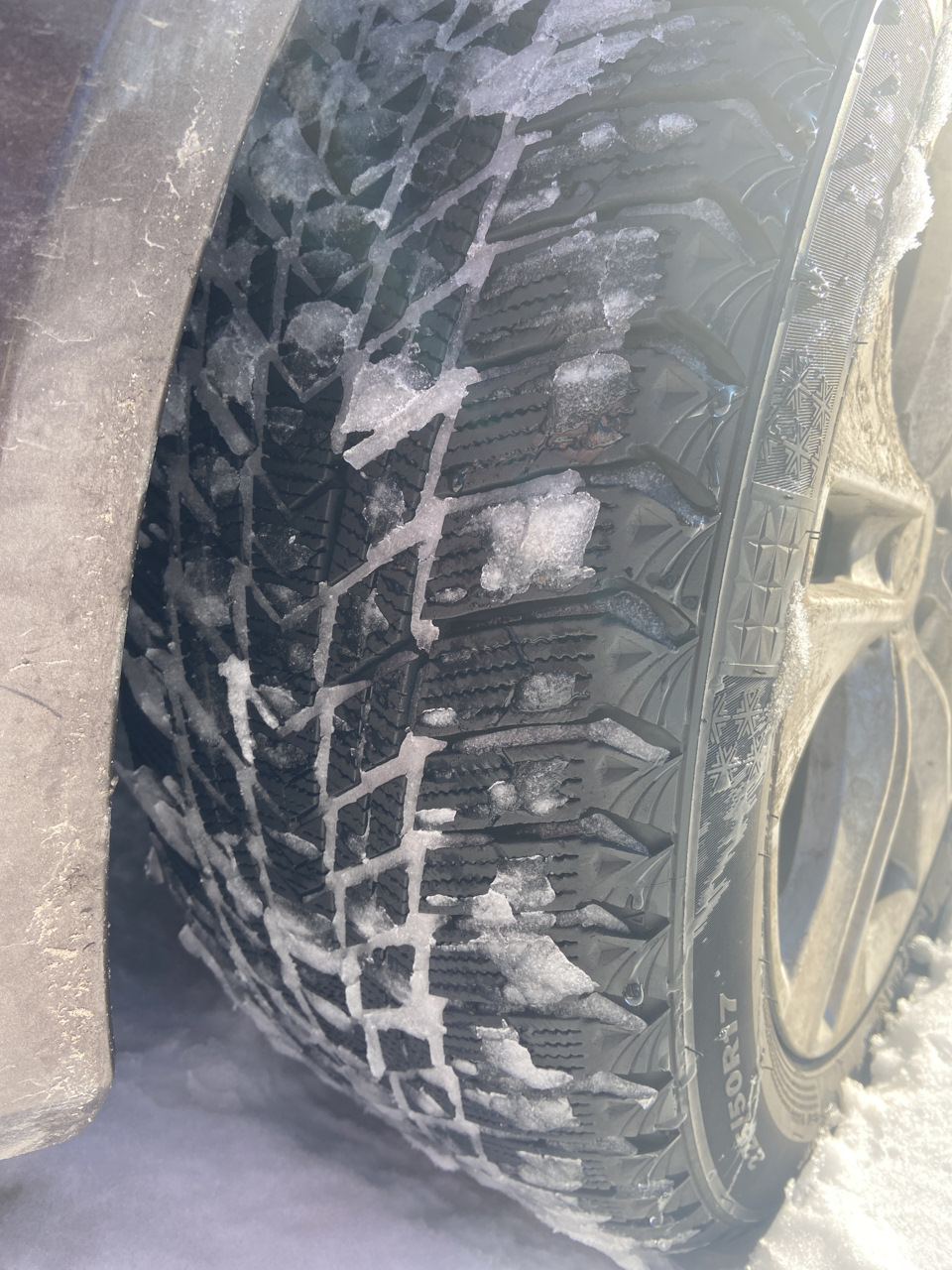 Nexen WinGuard ice Plus WH43 1