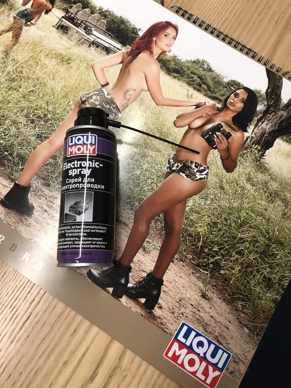 Liqui Moly electronic spray 1