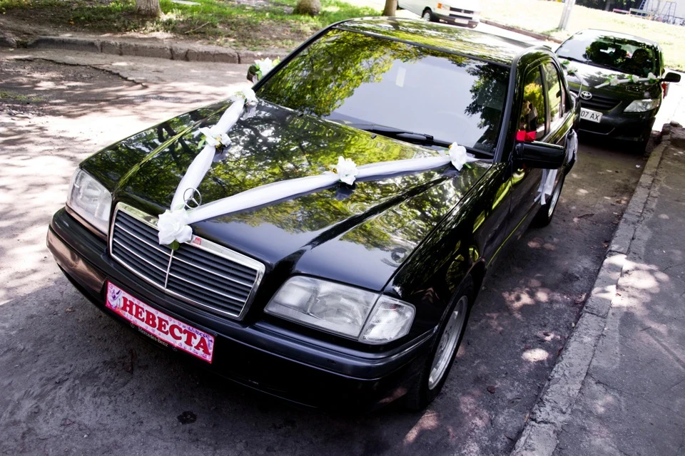 Сам собі фотограф Past l