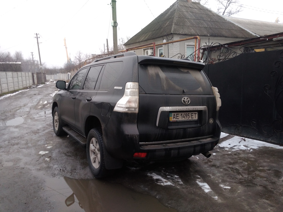 Новий член сім'ї та трохи зовнішнього складання))) 5