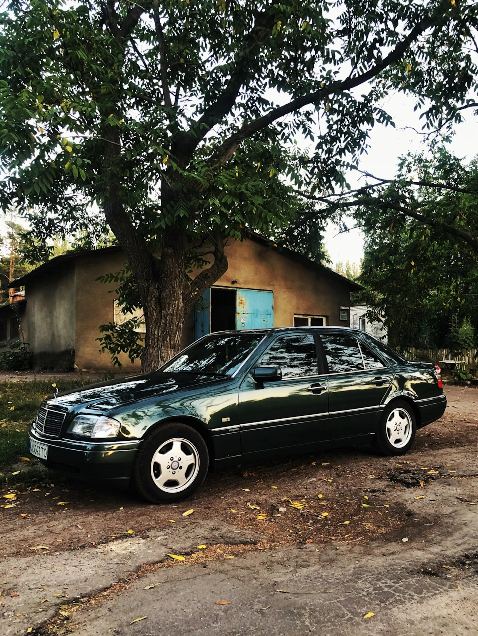 Трохи фото та інше!)