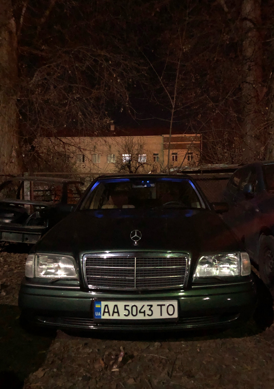 Просто трохи фото 5