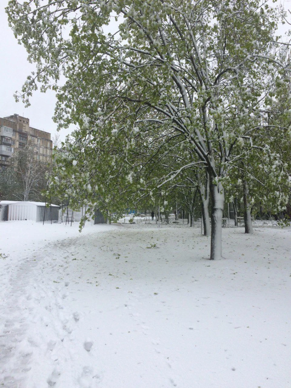 19 квітня чи з Новим Роком?