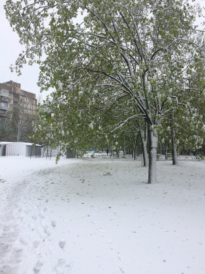 19 квітня чи з Новим Роком? 1