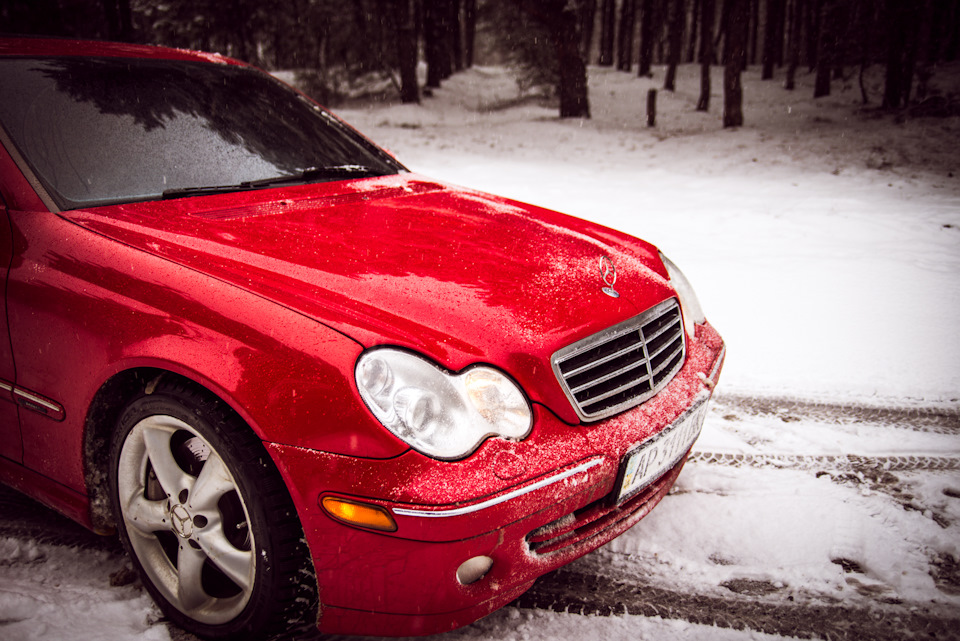 Winter photo shoot #2 5