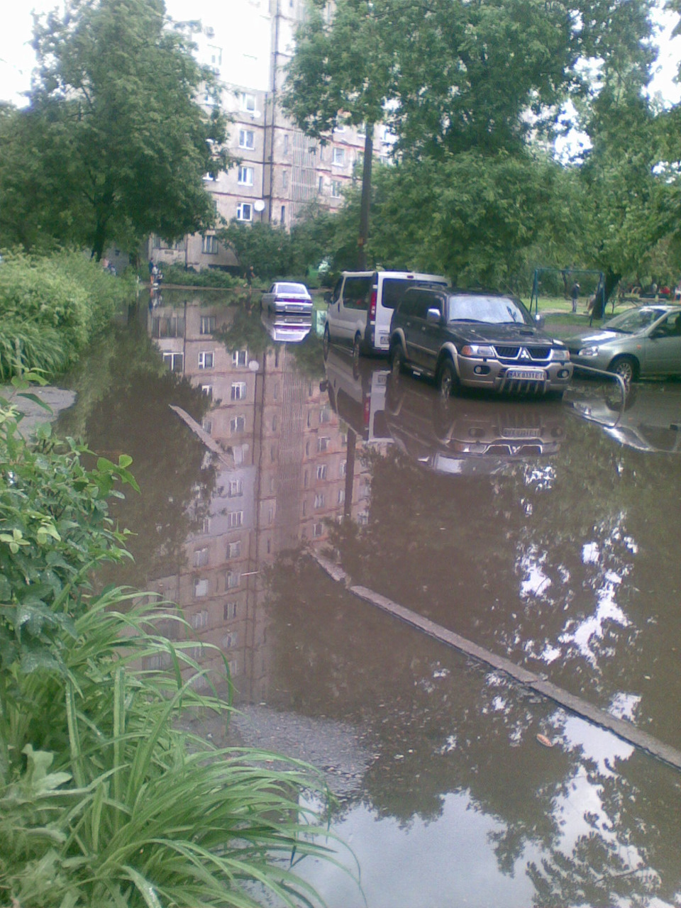 Після дощику 4
