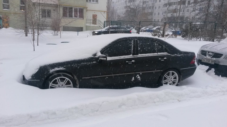 Вася закопався, і вилазити поки що не хоче. 2