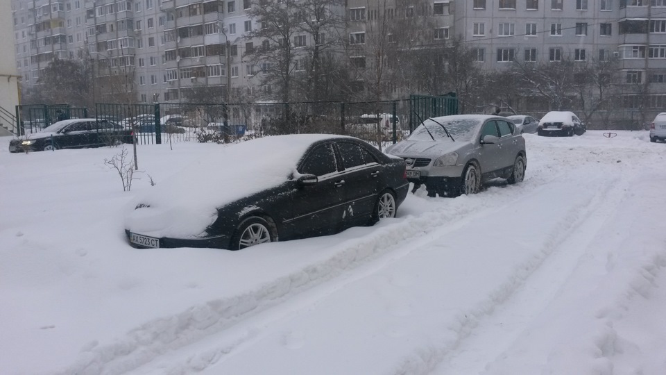 Вася закопався, і вилазити поки що не хоче. 1