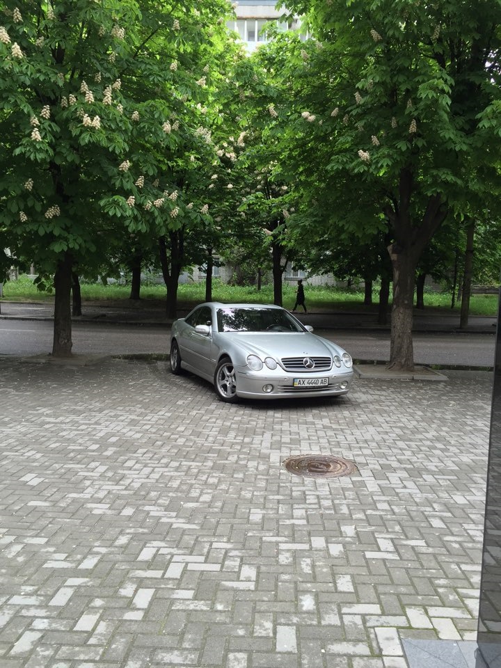Красива 1
