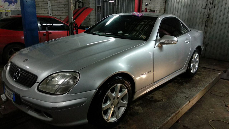 Зустрічайте нового улюбленця SLK 1