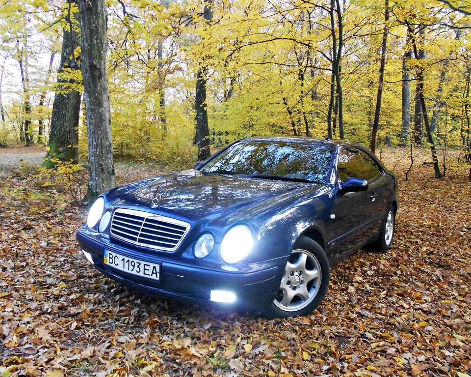 Осінь грає фарбами. Фотосет. З дівчиною. І собачкою. 4