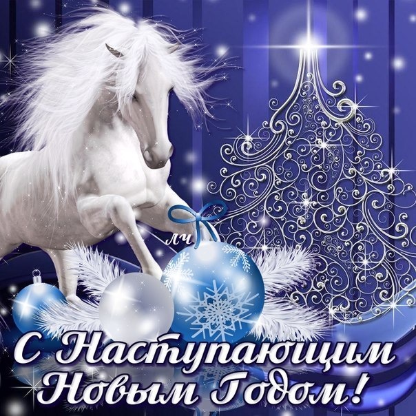Святковий настрій! :) 3