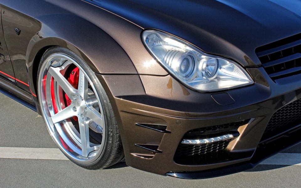 Звір від Prior Design 2014 W219 5