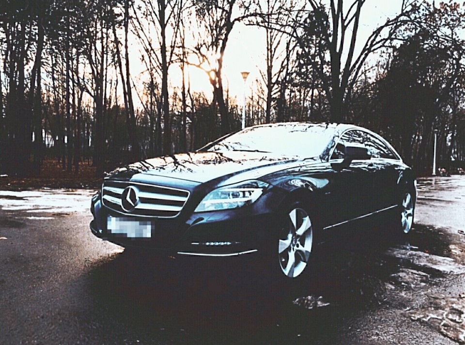 Фото Весна 2016 4