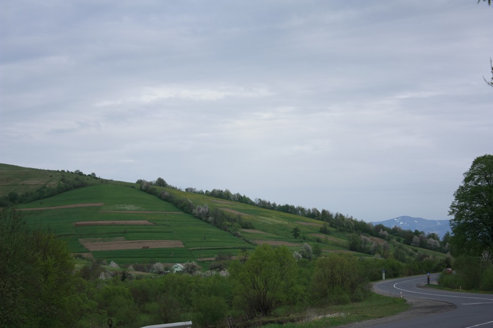 Карпати 4