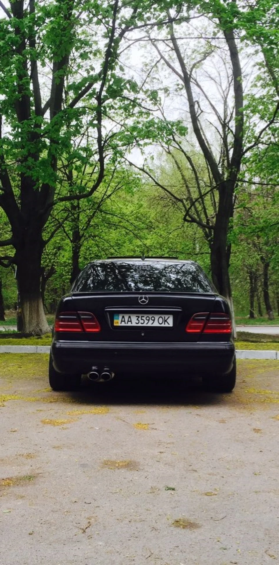 Весна