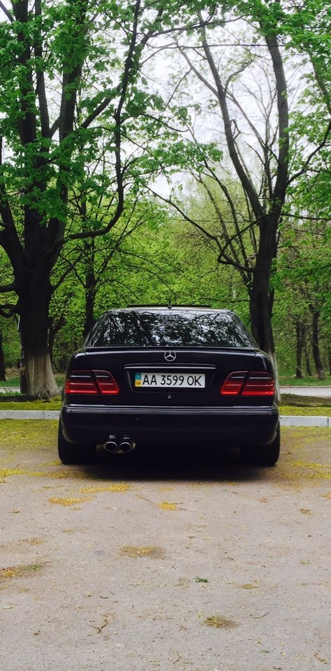 Весна 1