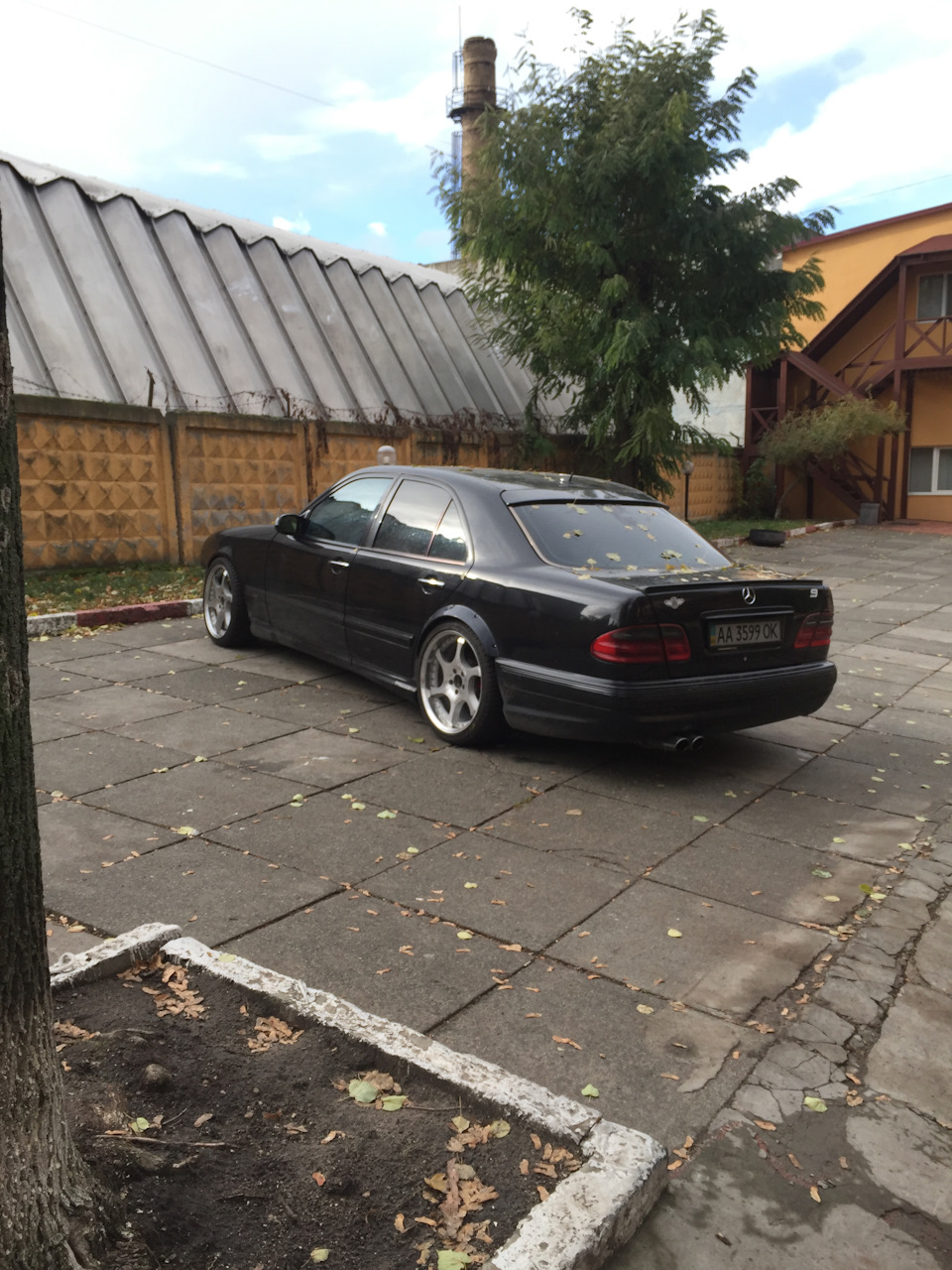 Зимовий смотряк )) 1