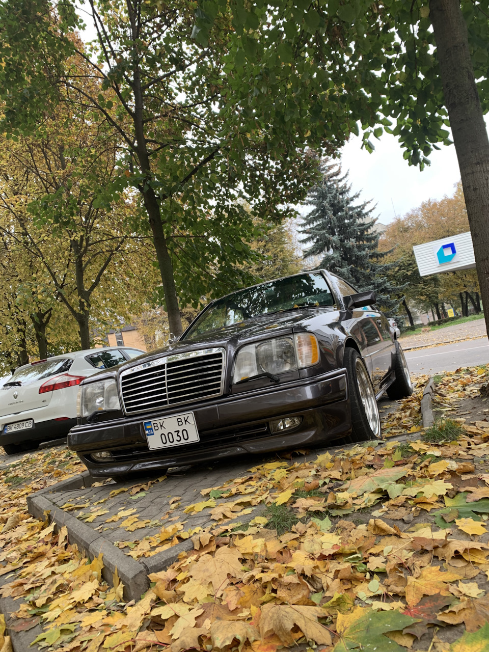 Осінь-осінь 🍃🍂🍁 1