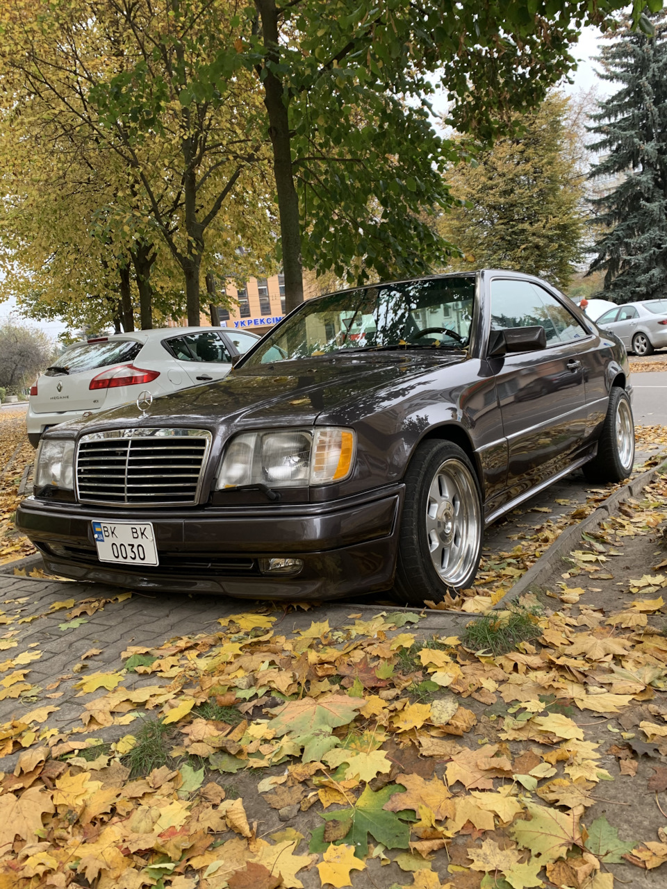 Осінь-осінь 🍃🍂🍁 4