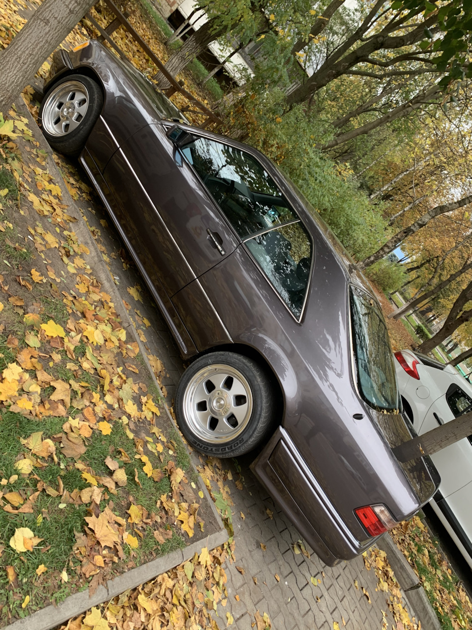 Осінь-осінь 🍃🍂🍁 5
