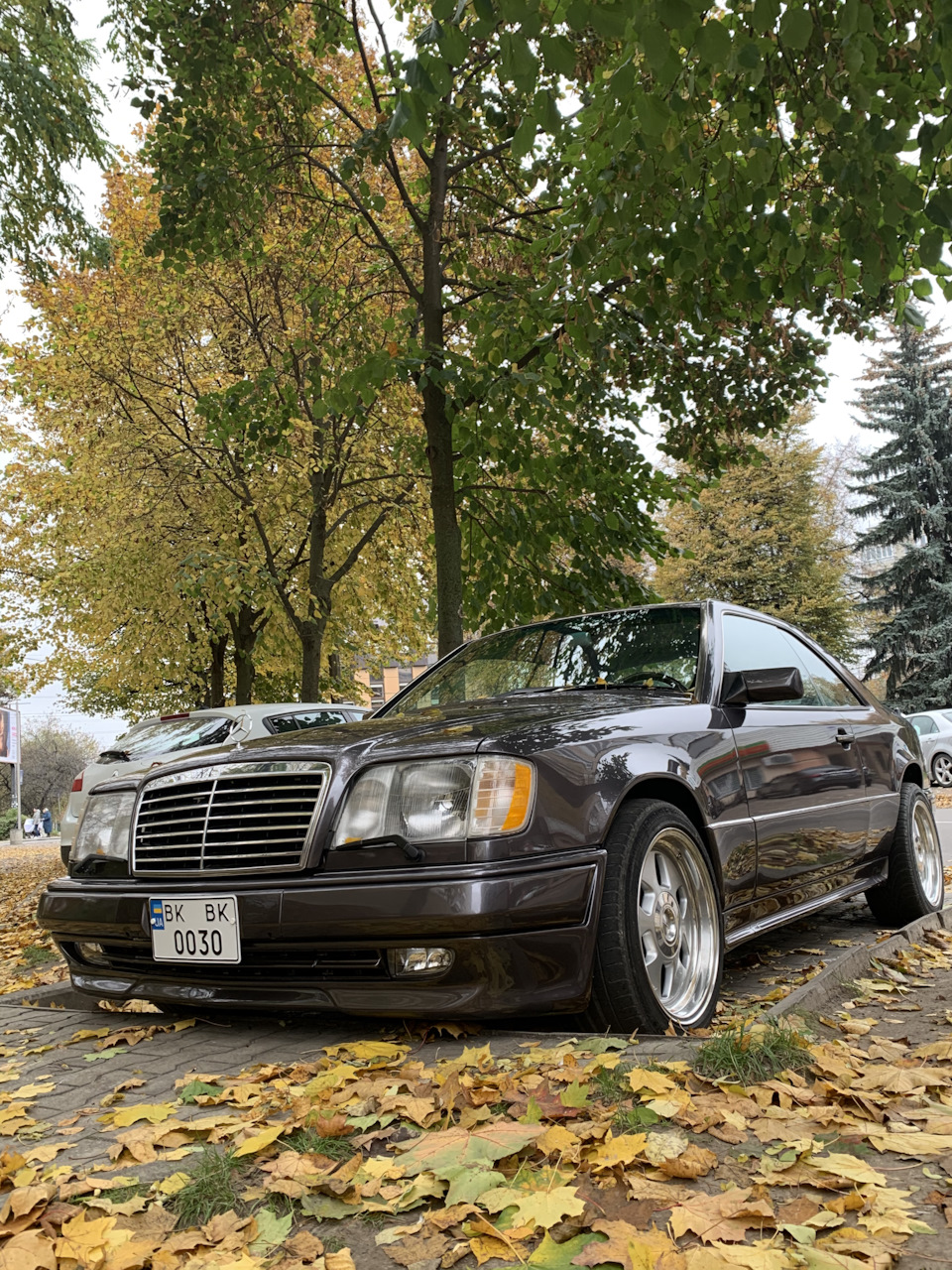 Осінь-осінь 🍃🍂🍁 3