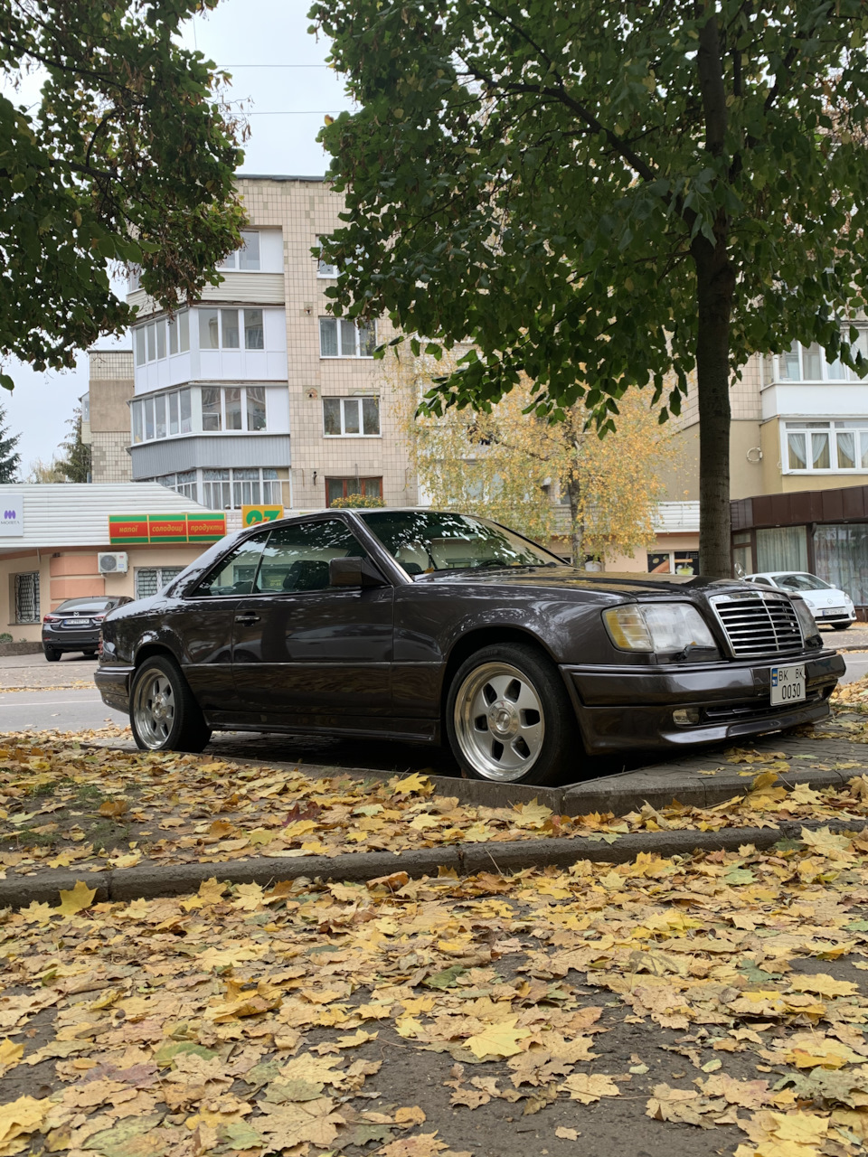 Осінь-осінь 🍃🍂🍁 2