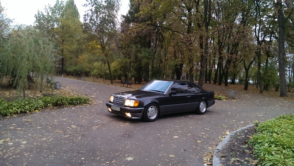 Купешка шукає дбайливі руки. 1