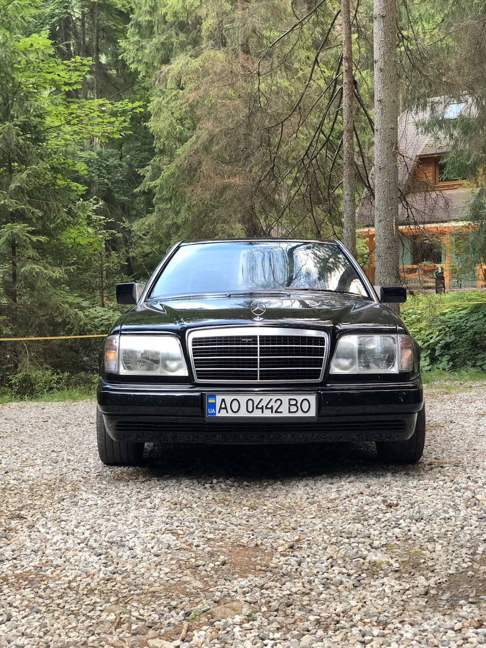 Грати Авангард ставити чи ні? 3