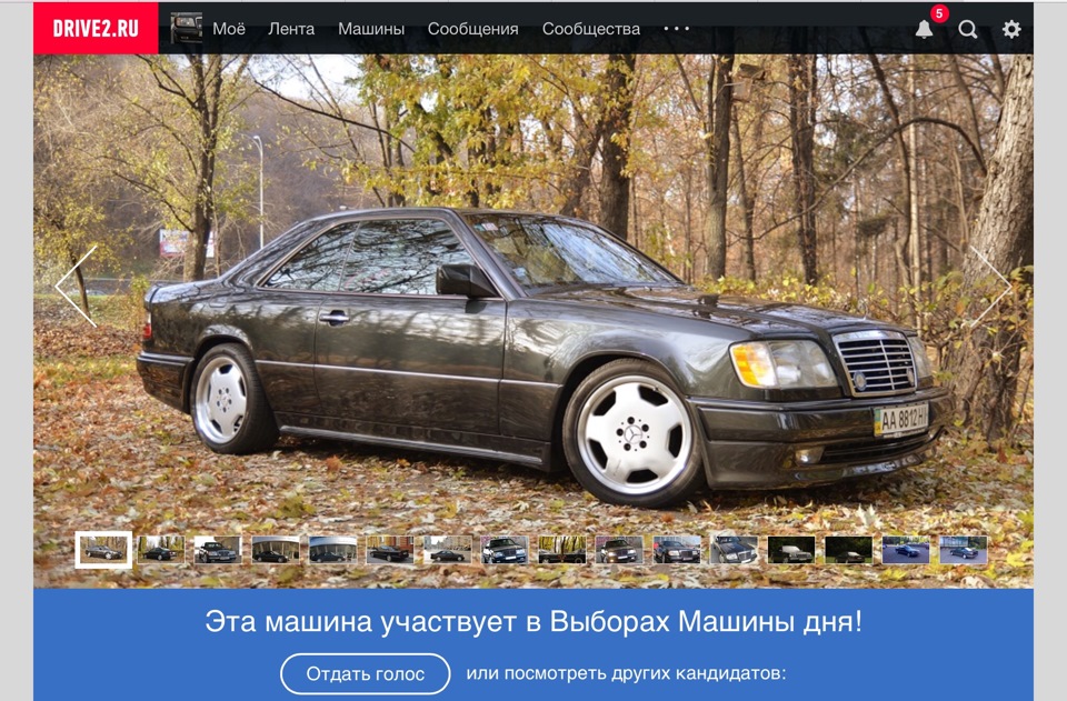 Ранковий сюрприз. 1