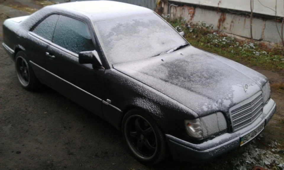 Зимова ялинка)
